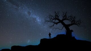 silhouette of person standing beside bare tree under stary sky